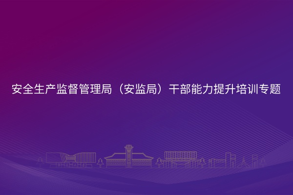 安全生产监督管理局（安监局）干部能力提升培训专题