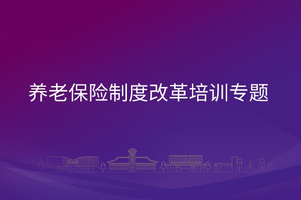 养老保险制度改革培训专题