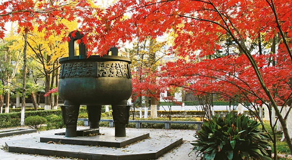 南京大学全面推进依法治国专题